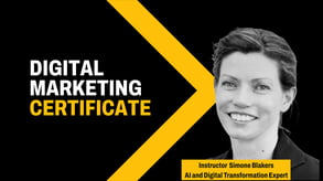 Digital Marketing Certificate: 20 May - 29 July 2026